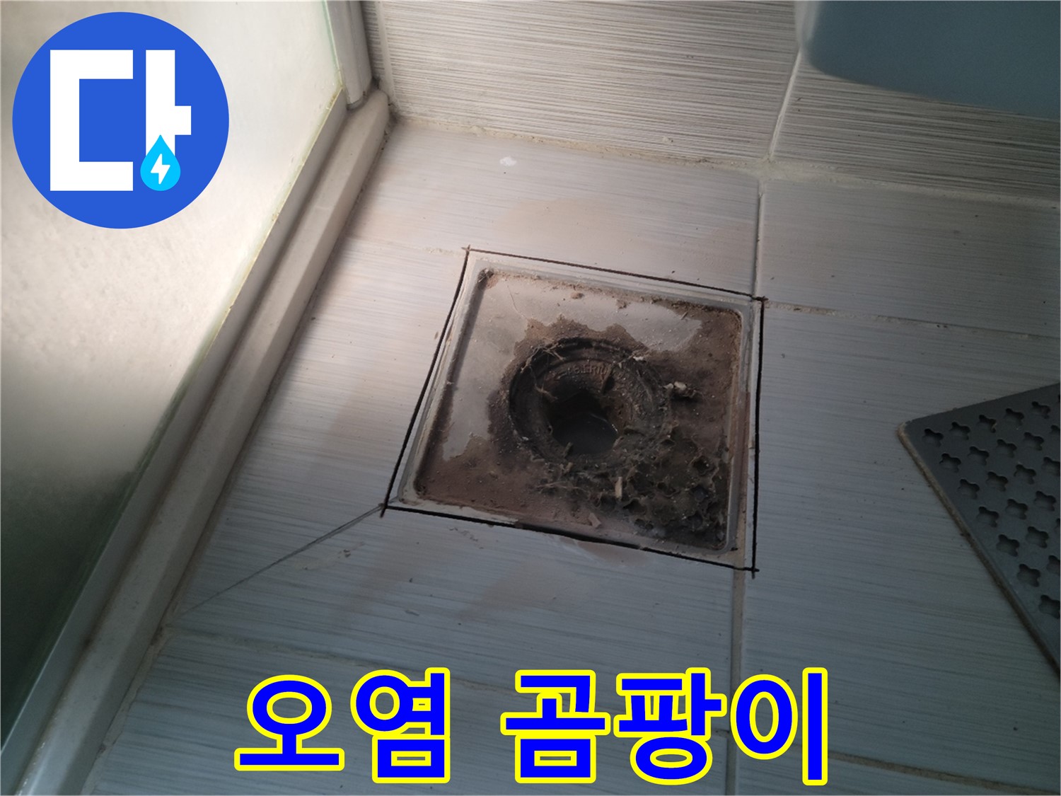 신창비바패밀리 욕실 배수구 주변 - 오염으로 인한 곰팡이 번식