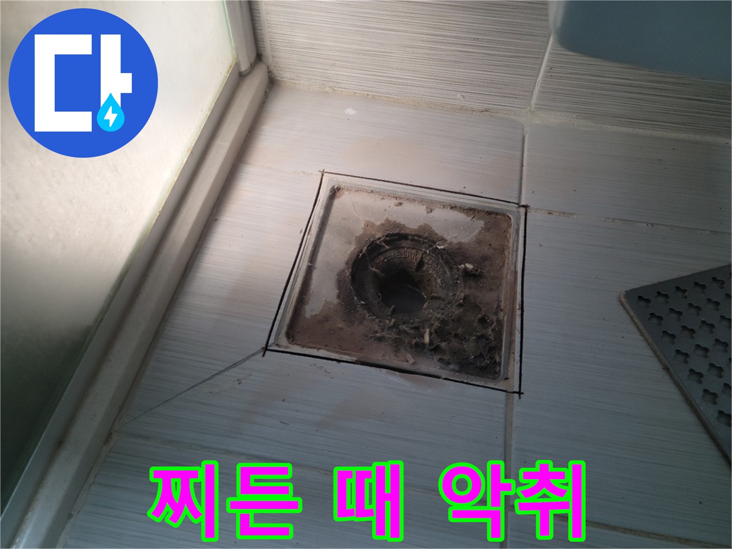 신창비바패밀리 욕실 배수구 주변 찌든 때와 심한 악취 발생