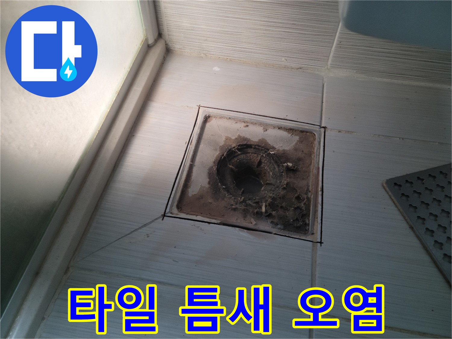 신창비바패밀리 욕실 배수구 주변 - 타일 틈새 오염 확인 및 누수 위험