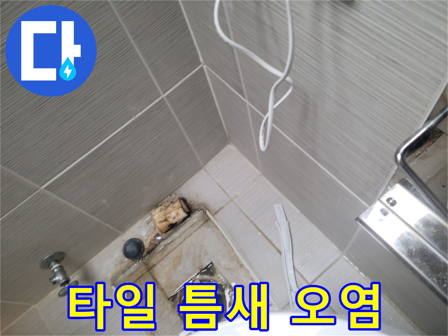 아파트 욕실 배수구 주변 - 타일 틈새 오염