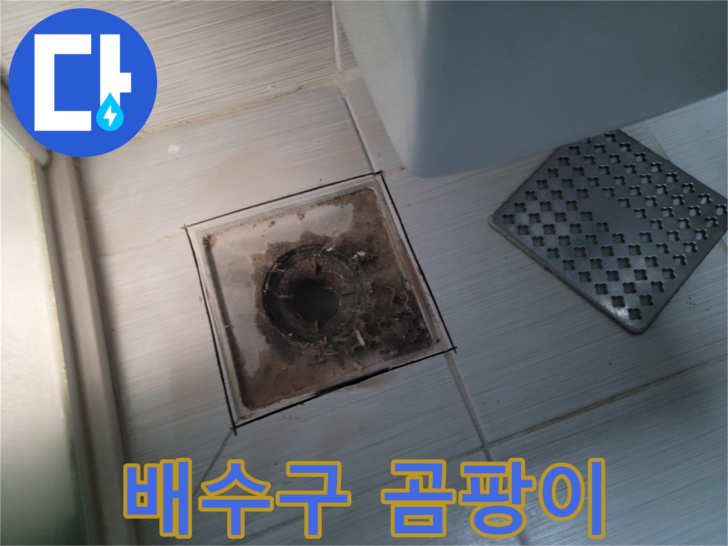 욕실 배수구 주변 - 곰팡이 - 곰팡이 제거 후 곰팡이 방지 코팅 시공