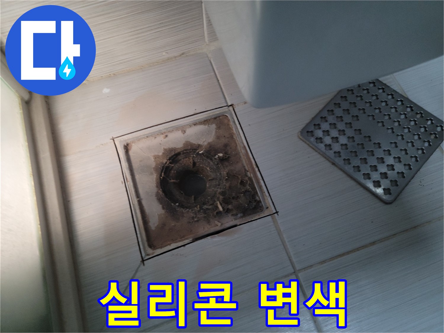 욕실 배수구 주변 - 실리콘 변색 - 곰팡이 방지 실리콘 재시공