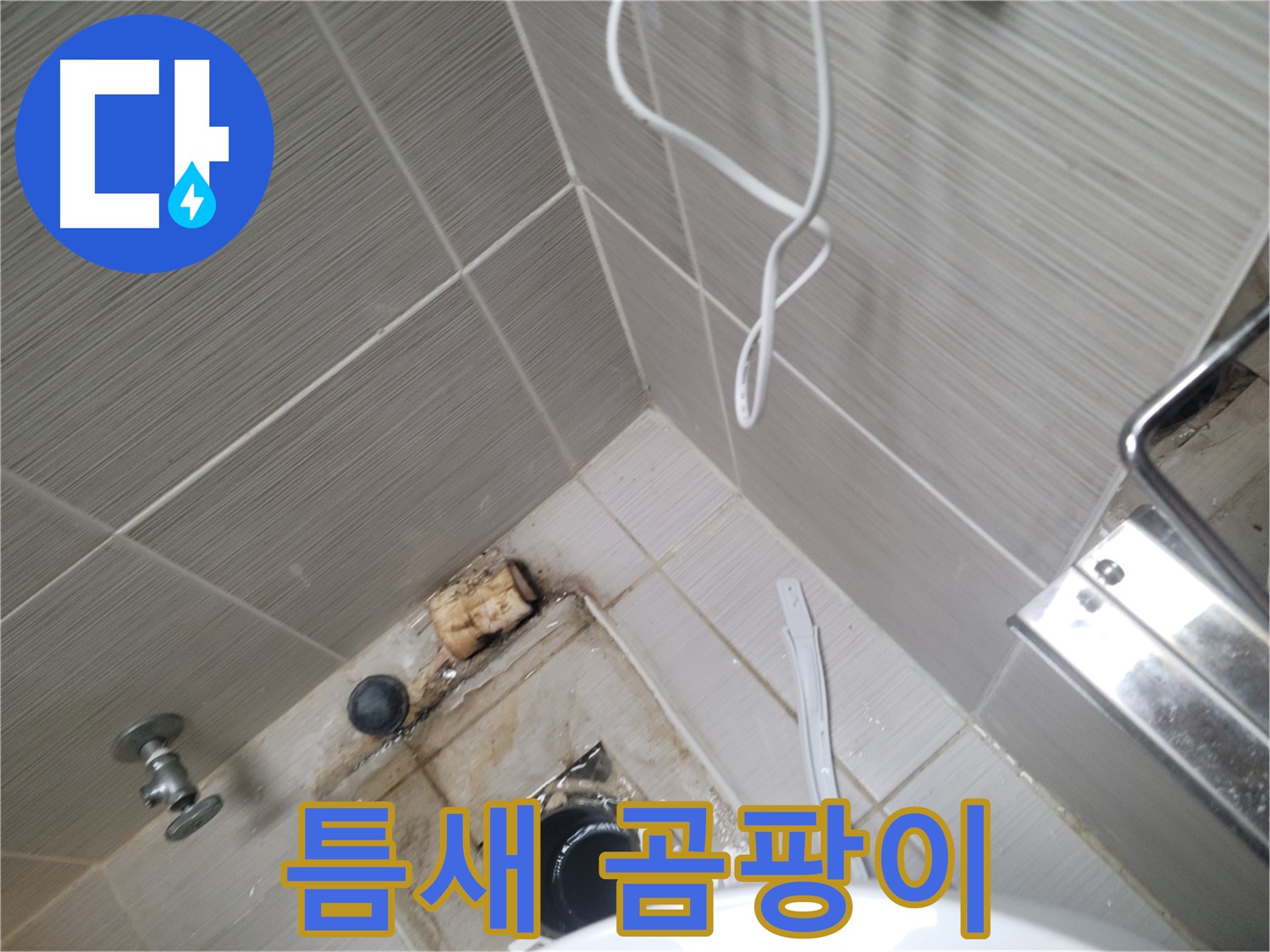 주택 욕실 배수구 주변 - 타일 틈새 곰팡이