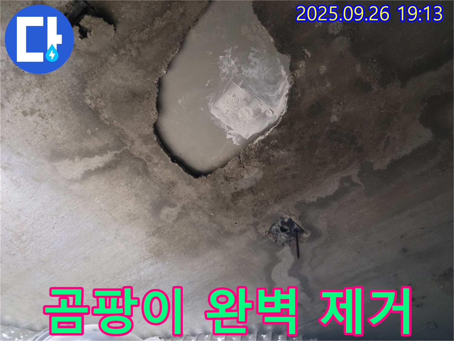 콘크리트 누수 - 곰팡이 제거 - 깨끗한 환경