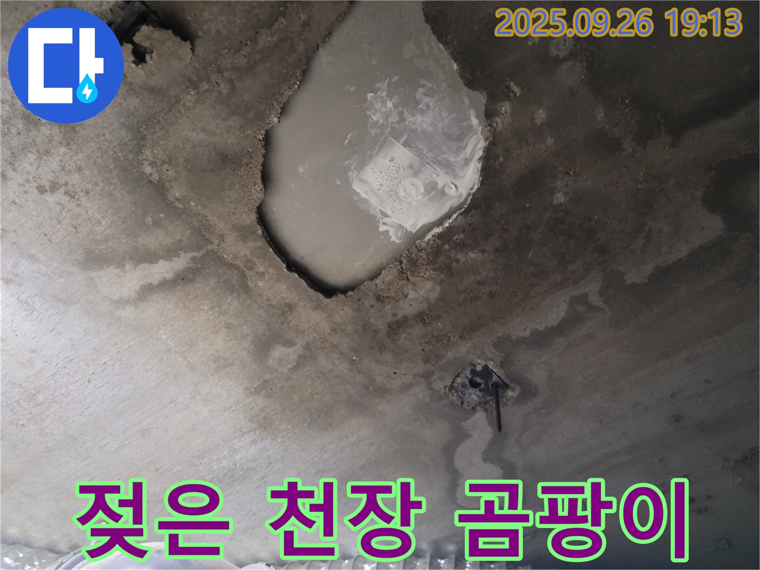 콘크리트 천장 - 젖은 천장 - 곰팡이 발생 위험