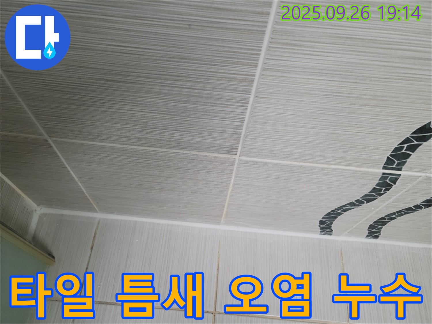 타일 틈새 오염 누수 - 곰팡이와 누수, 한번에 해결!
