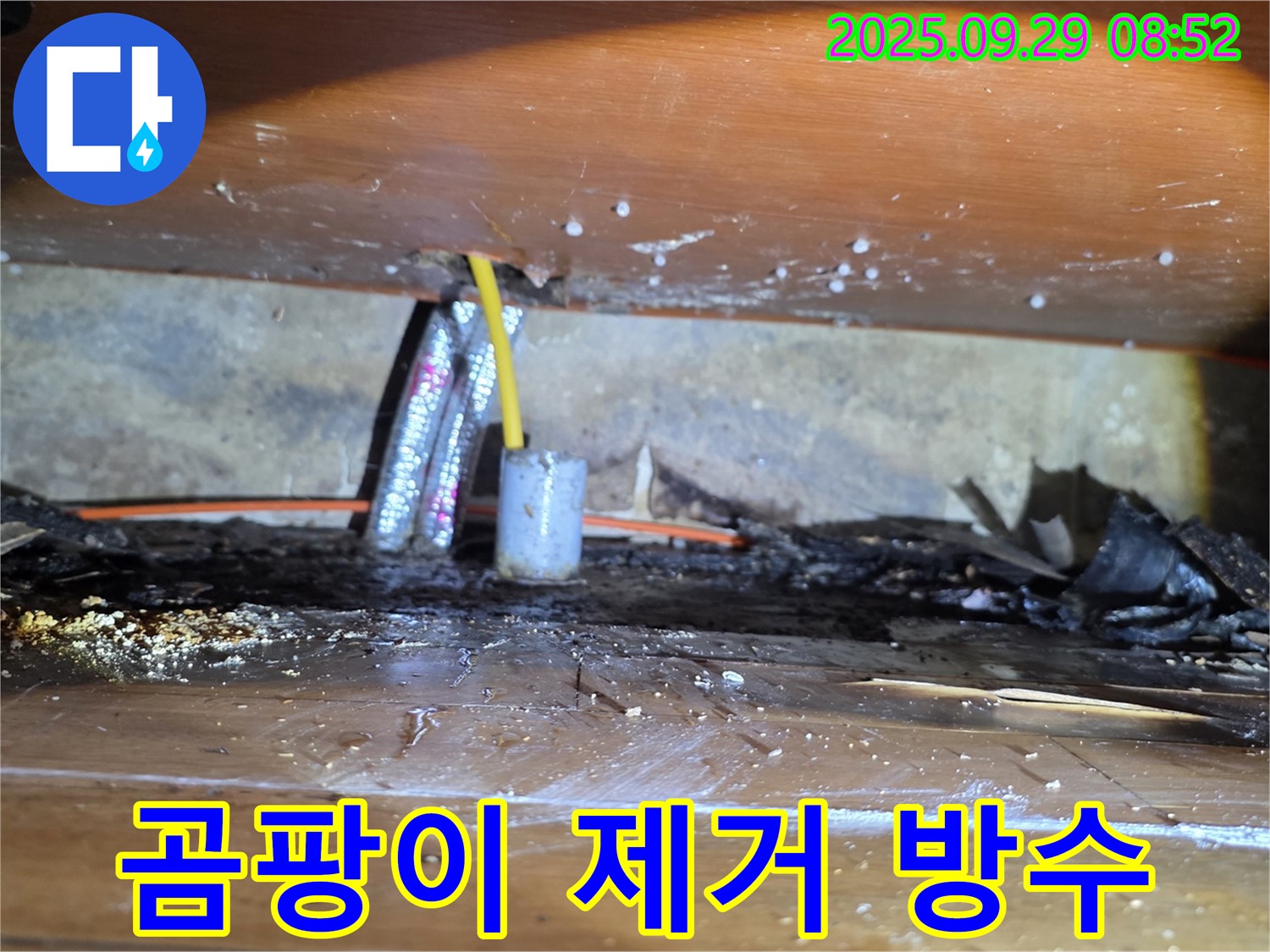 곰팡이 제거, 완벽 방수 시공 - 양천구 천장 누수 공사