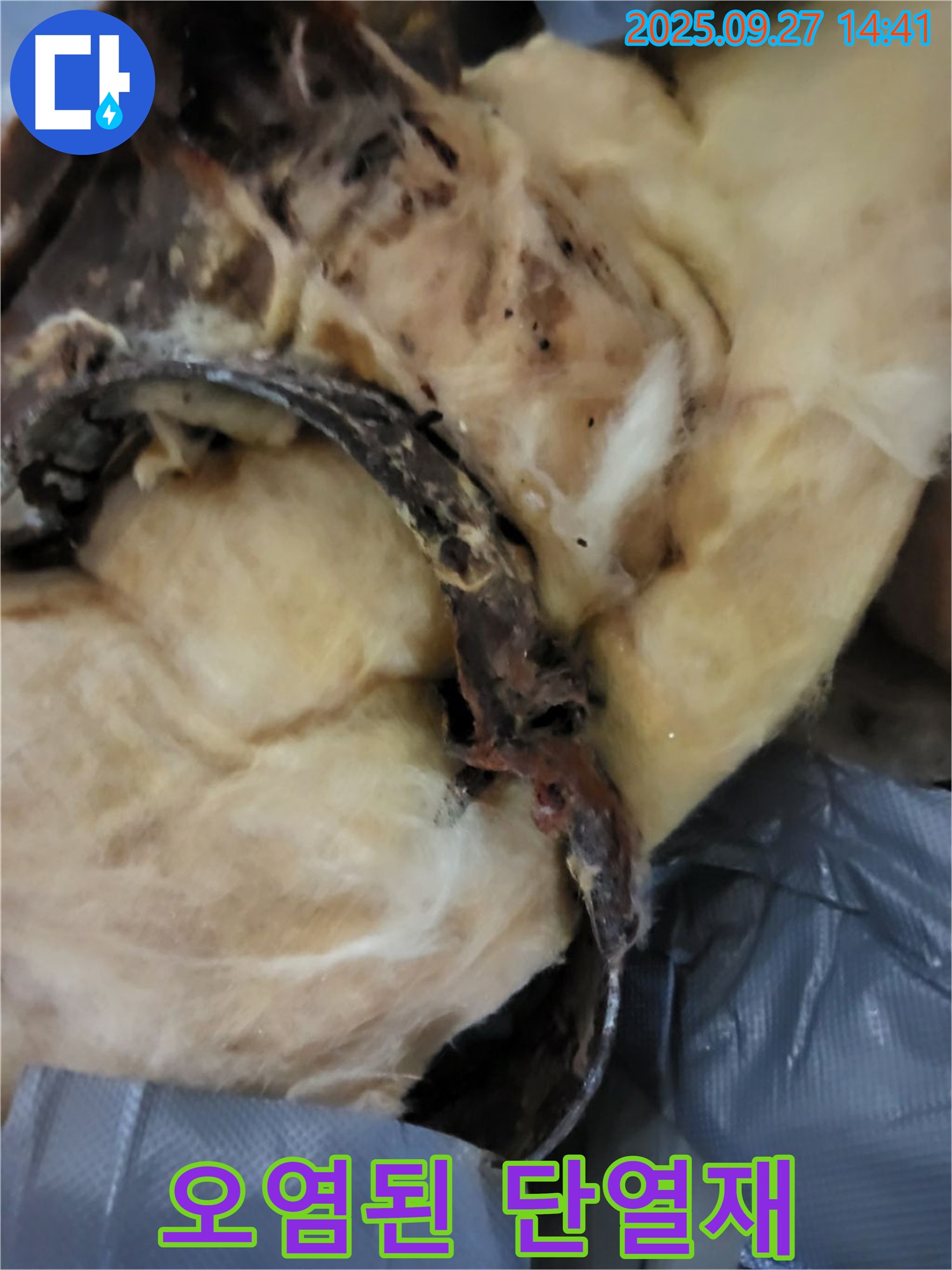 곰팡이 - 오염된 단열재 - 양주시 광적면 광석리 누수