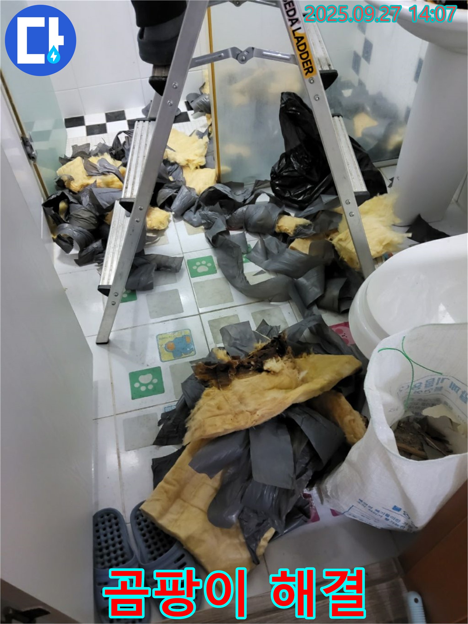 양주 광적면 - 곰팡이 문제 해결은 전문가에게 맡기세요!