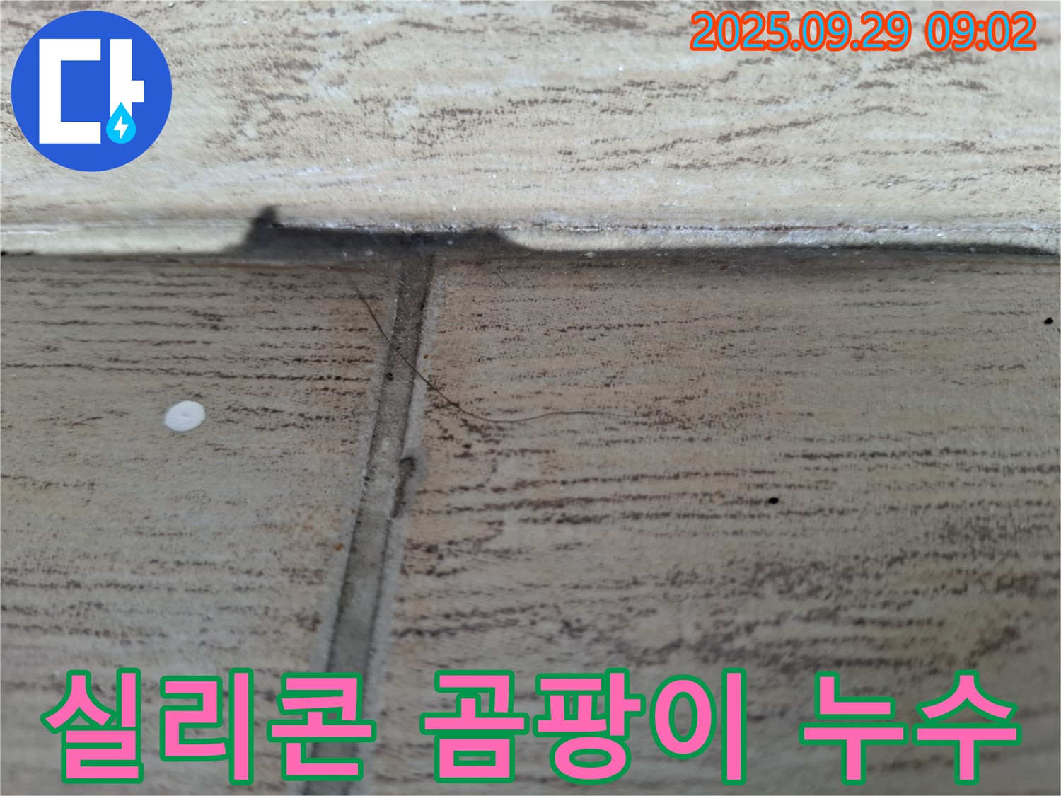양주시 광적면 누수 - 타일 틈새 실리콘 곰팡이 누수 - 곰팡이 제거와 누수 해결을 한 번에!