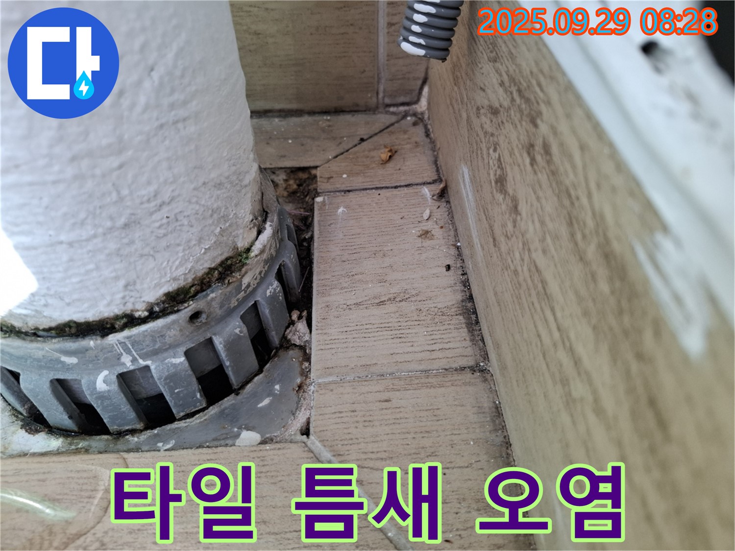 양주시 광적면 우고리 누수 - 타일 틈새 오염, 누수 지속 의심