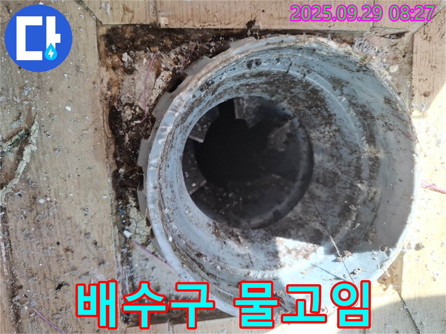 양주시 광적면 우고리 - 배수구 주변 물고임 현상, 누수 가능성 높음