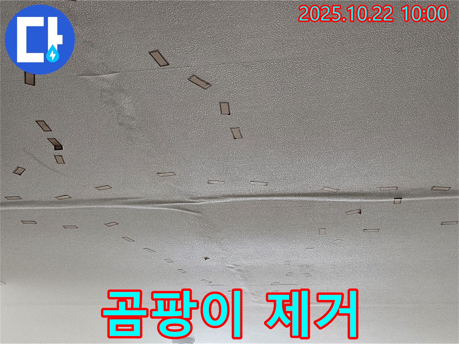 곰팡이 제거 - 습기와 곰팡이를 깨끗하게 제거합니다.