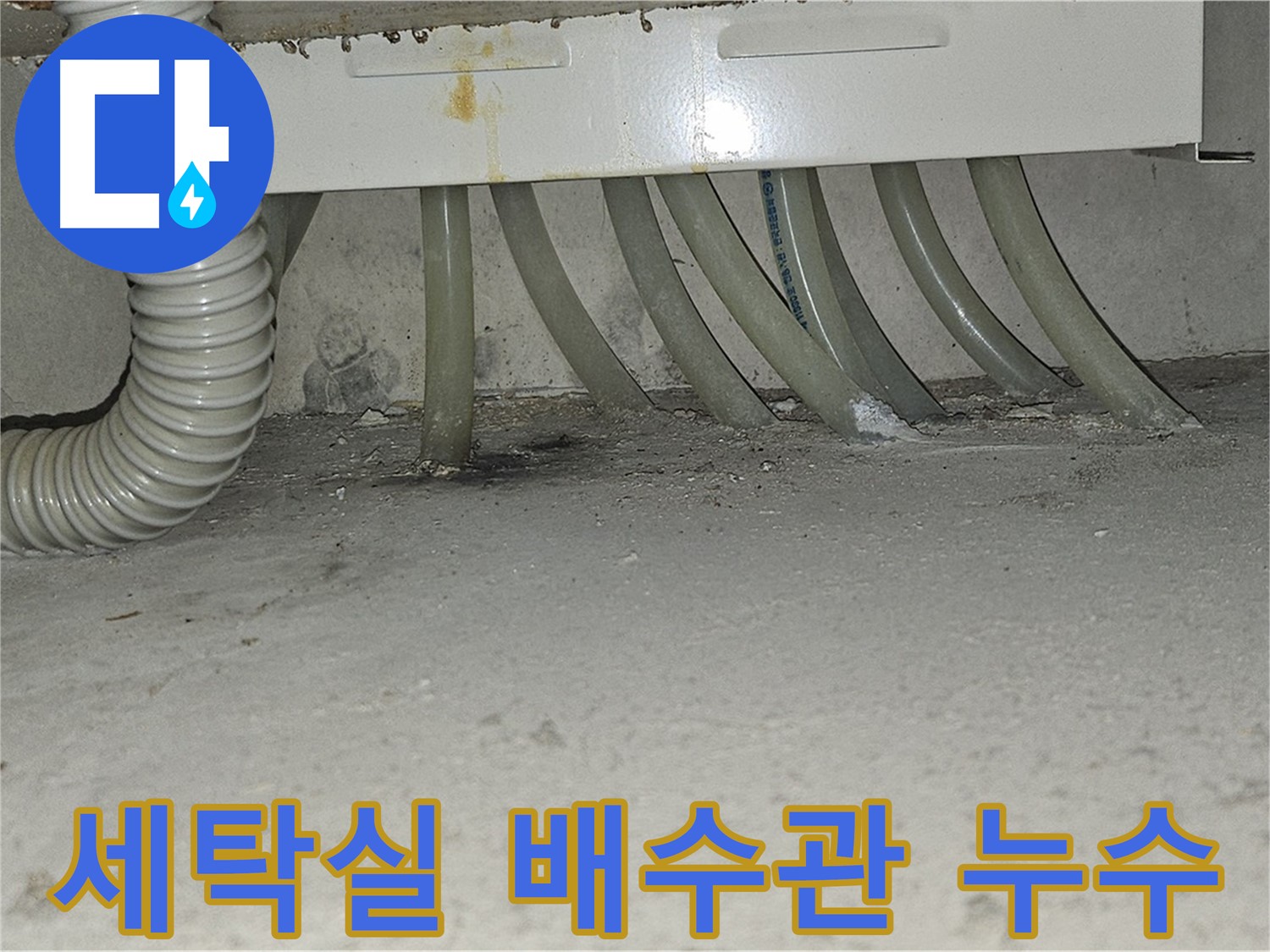 현대시티 세탁실에서 발생한 배수관 누수 - 누수 전문가의 신속하고 정확한 진단 및 해결 과정입니다.