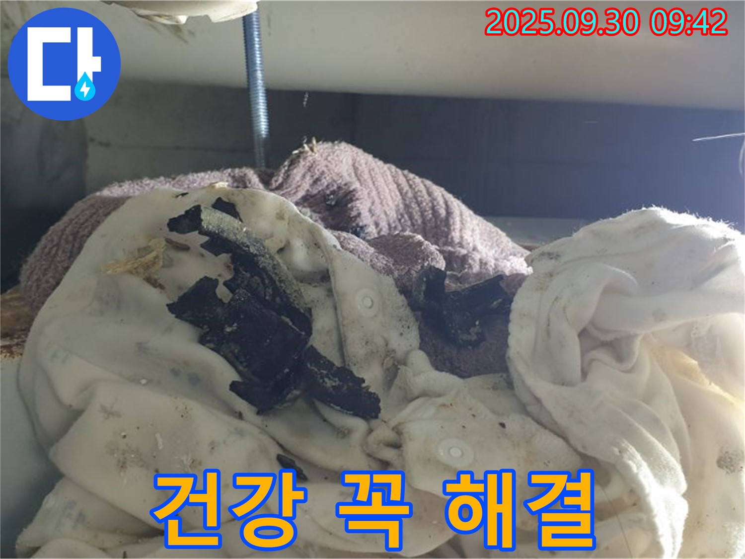 세탁실 악취와 검은 곰팡이 - 건강 위협 - 석우리 누수