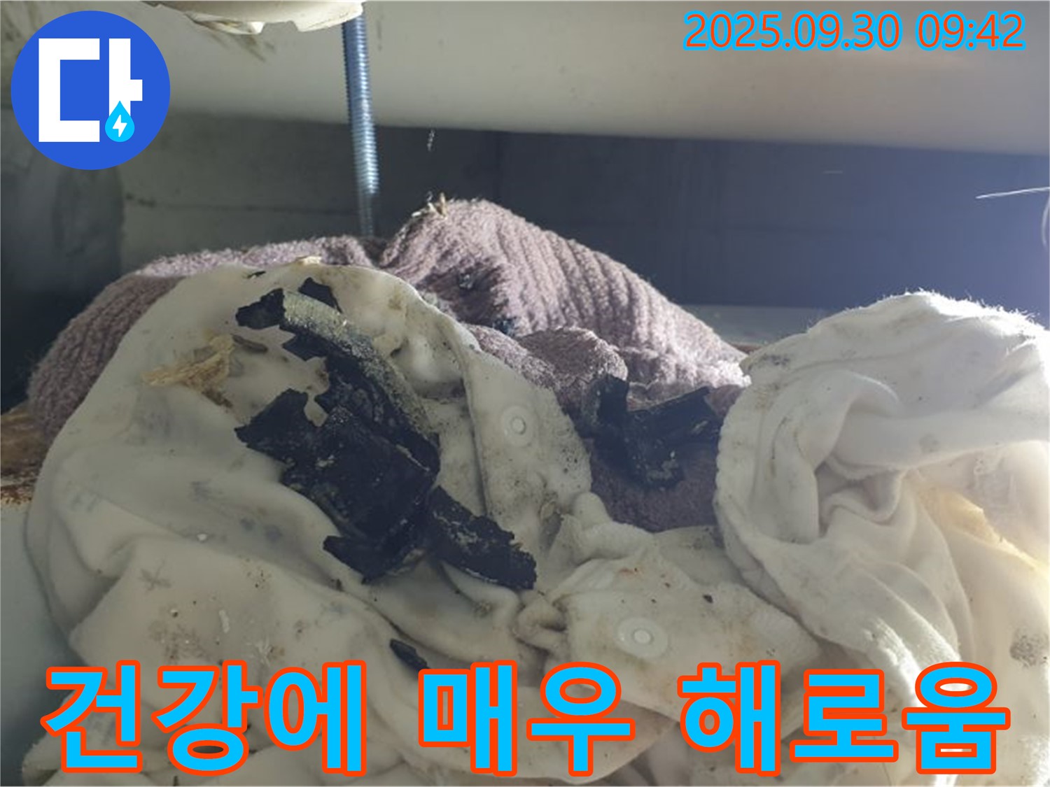 세탁실 악취와 검은 곰팡이 - 건강 위협 - 석우리 누수