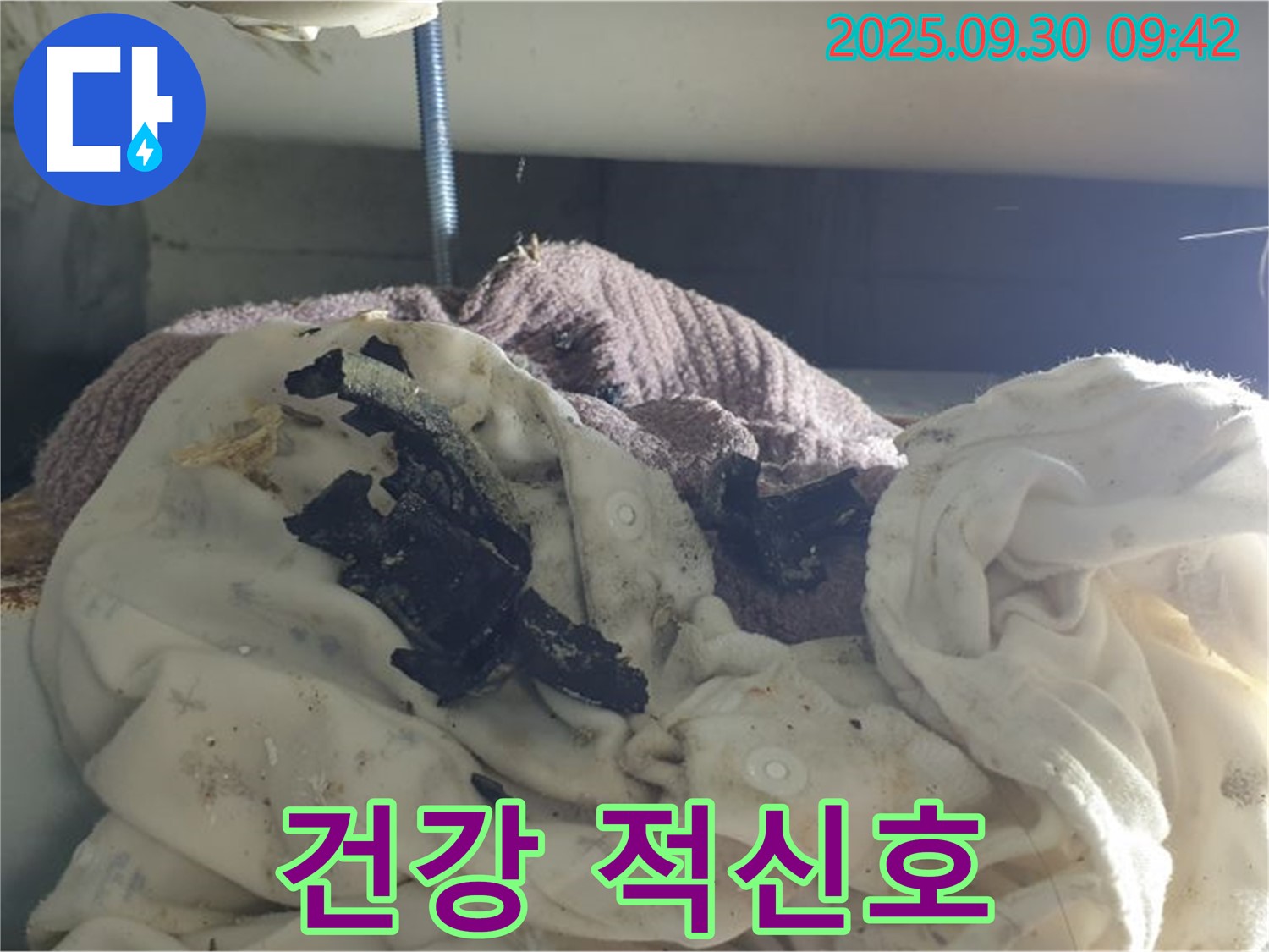세탁실 퀴퀴한 냄새와 검은 얼룩 - 건강 위협 - 석우리 누수