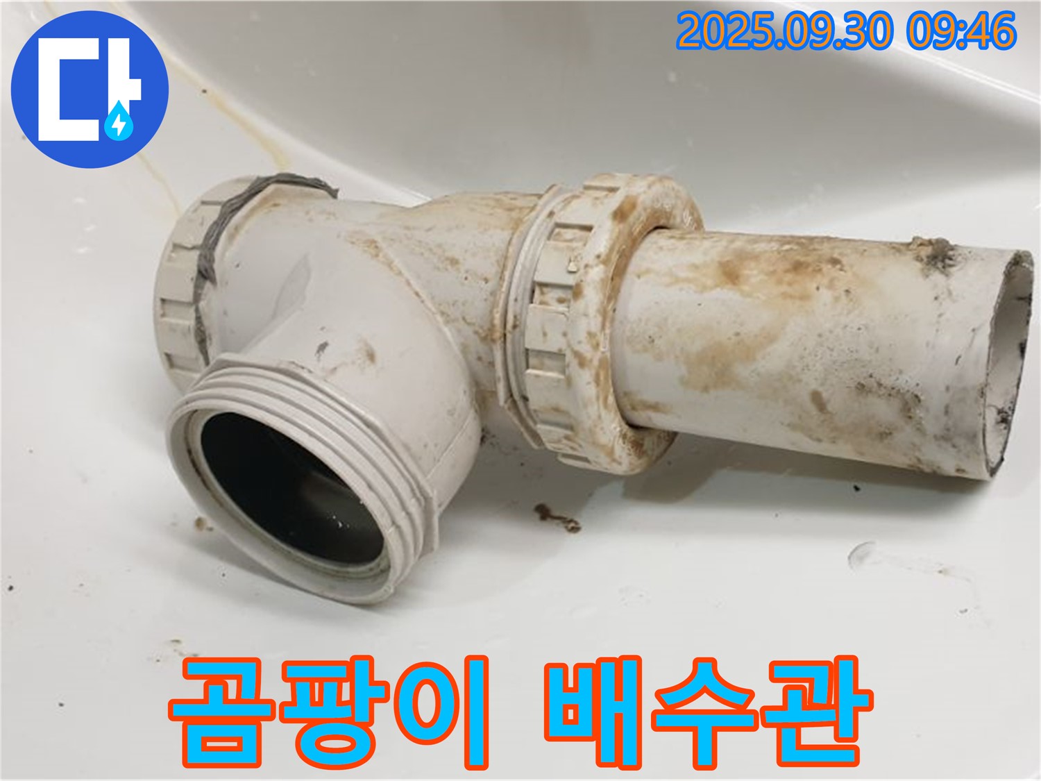 양주 광적면 석우리에서 곰팡이 핀 세면대 배수관, 세척만으로 해결될지 고민입니다.