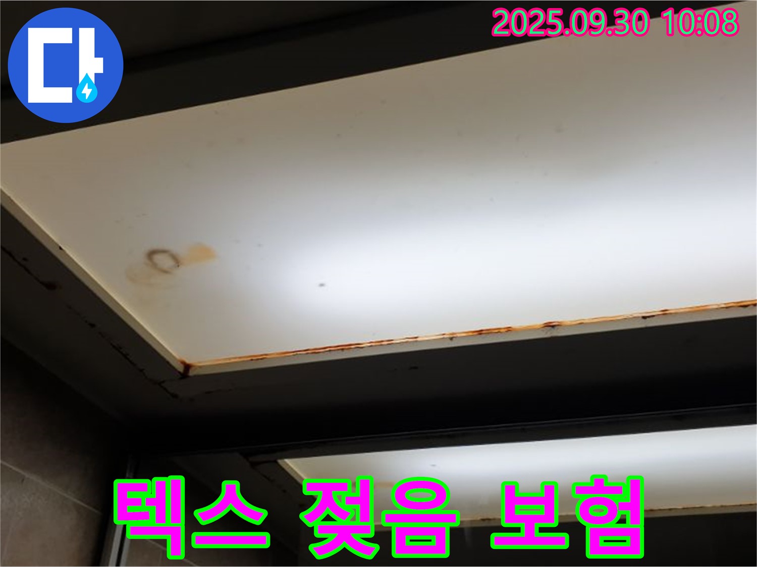 텍스 젖음 - 양주 석우리에서 누수탐지 전문가가 텍스 젖음을 확인하고 누수 보험에 대한 꼼꼼한 상담을 진행합니다.