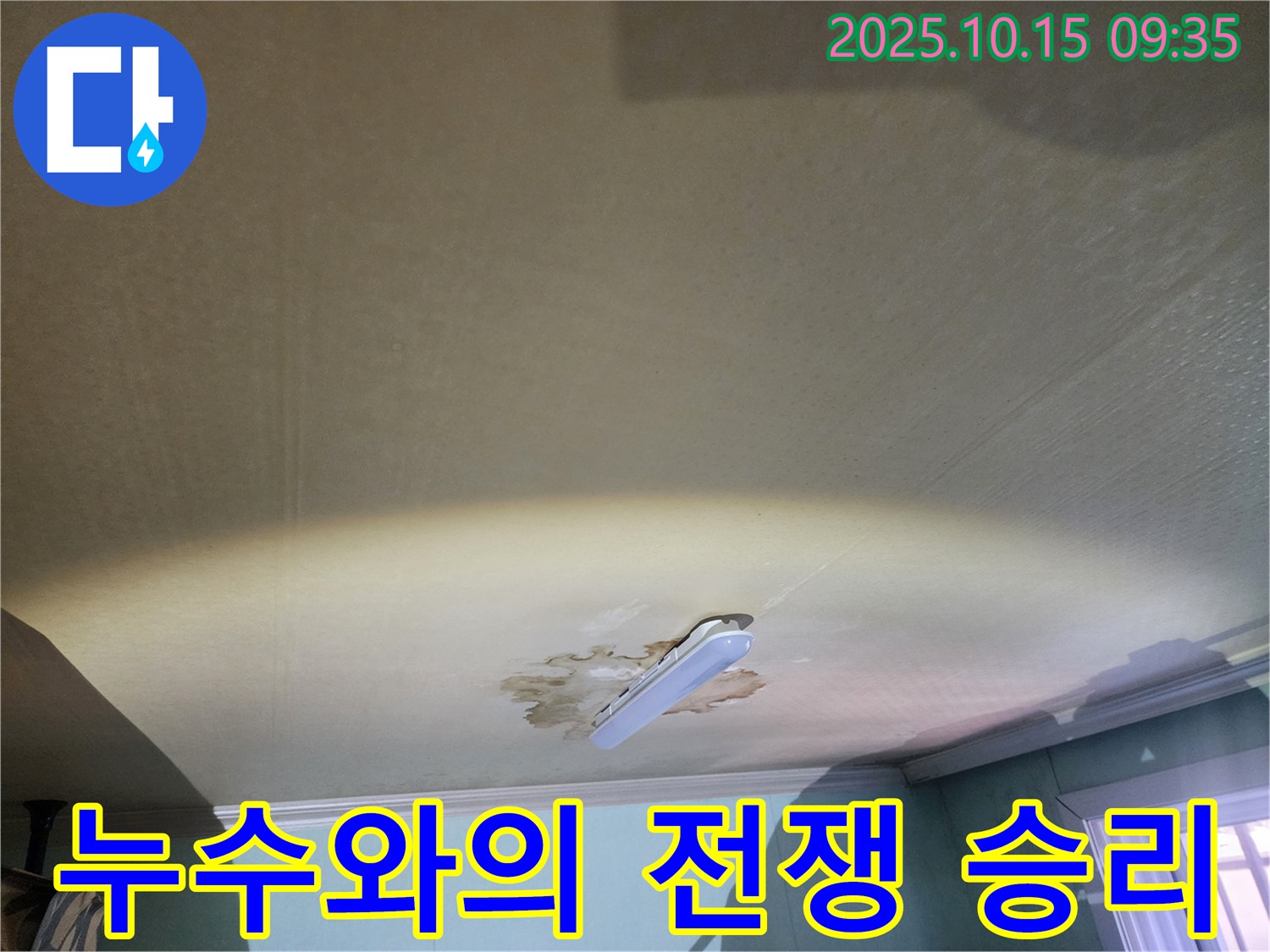공릉2동 동우빌라 천장 누수 - 누수와의 전쟁, 반드시 승리하겠습니다!