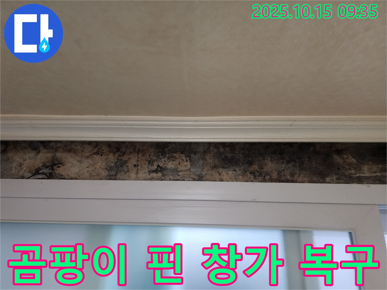 공릉동 누수 - 곰팡이 핀 창가 완벽 복구 및 누수 해결 대작전