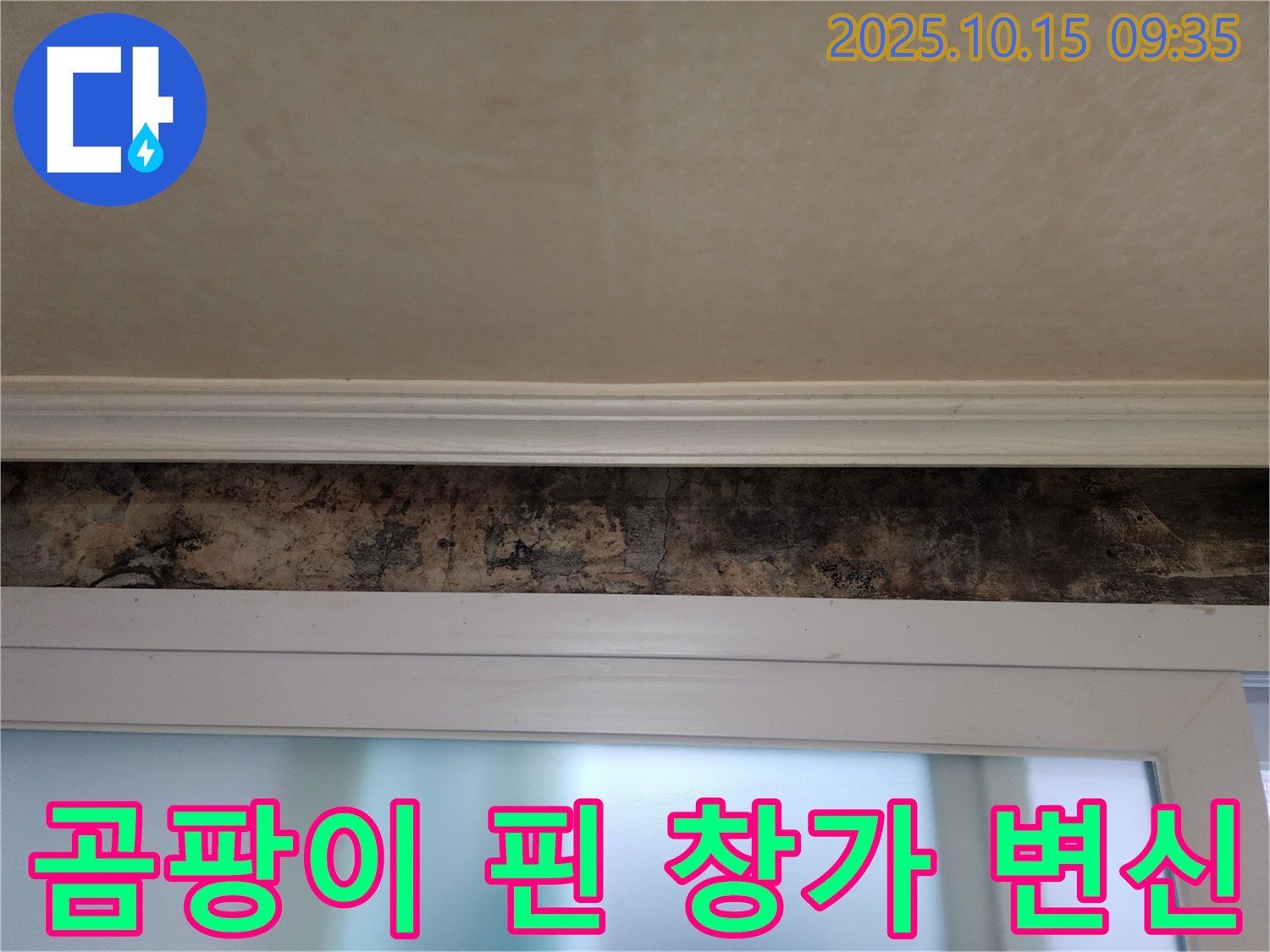 공릉동 누수 - 곰팡이 핀 창가 완벽 복구 및 새집처럼 변신