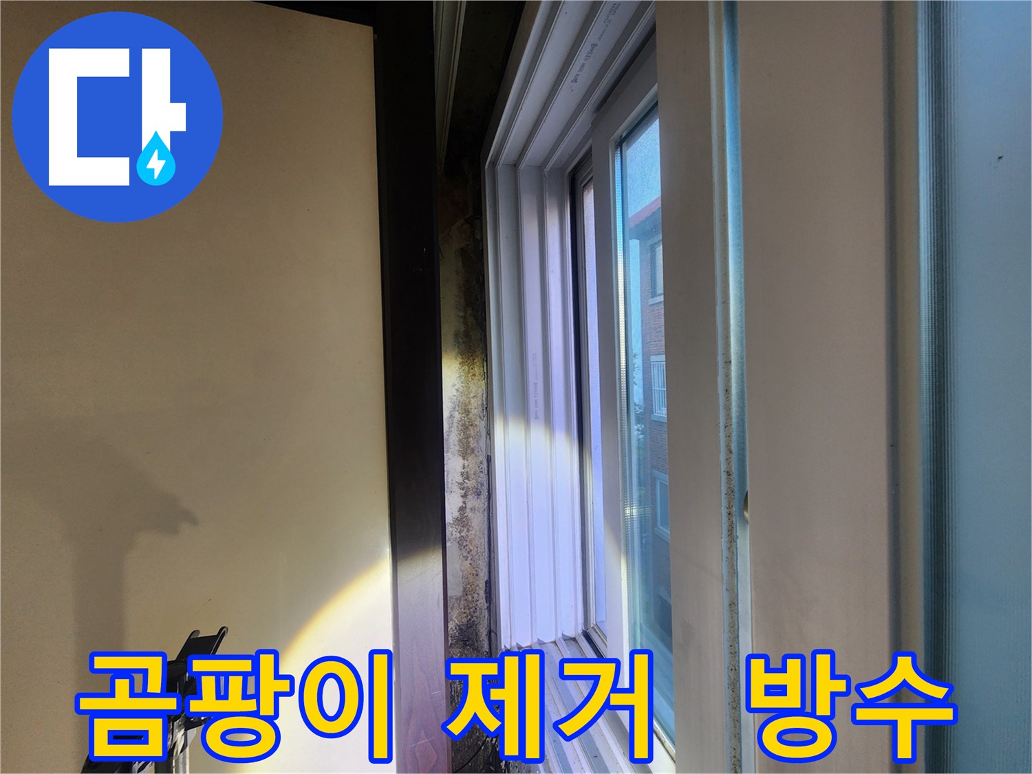 창틀 주변 곰팡이 제거 및 완벽 방수 공사 - 누수 해결