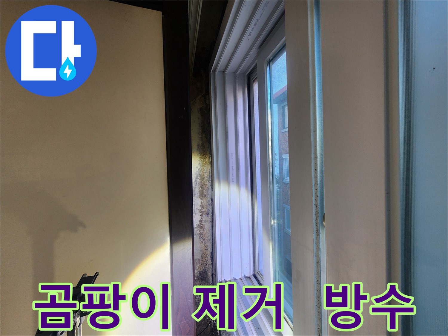 창틀 주변 곰팡이 제거 및 완벽 방수 공사 - 누수 해결