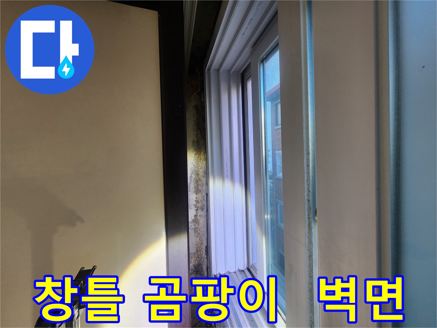 창틀 주변 곰팡이와 벽면 손상 - 누수 의심