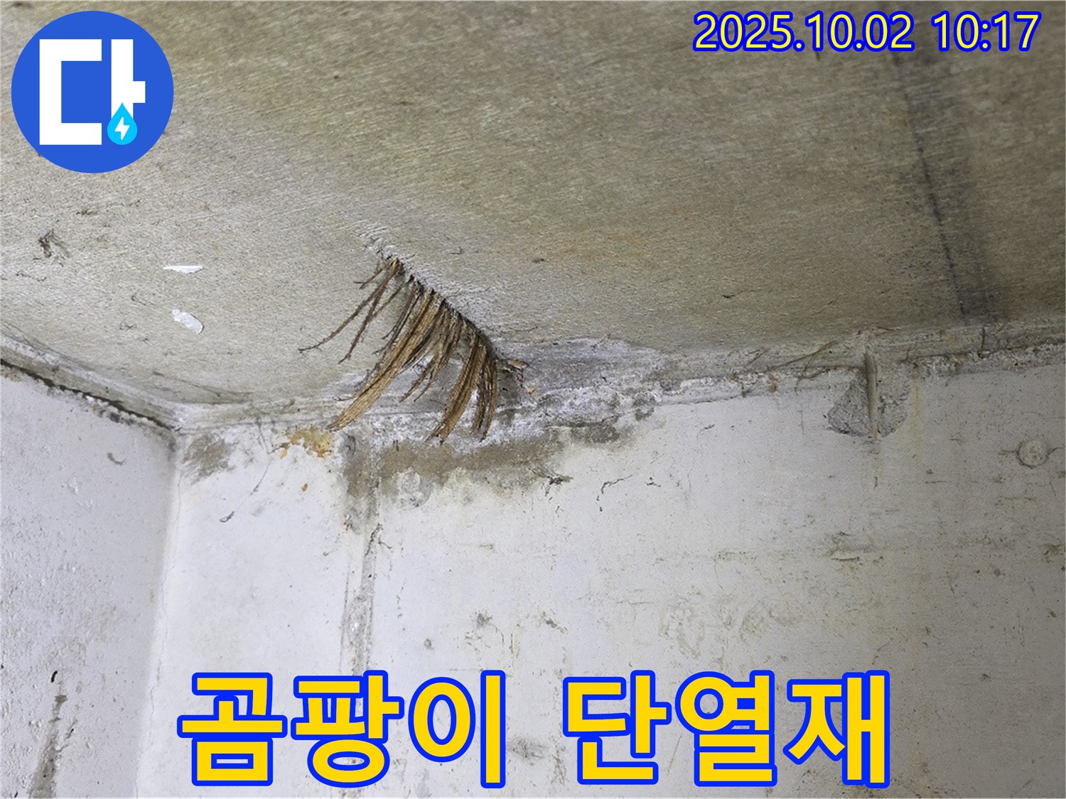 양주 신산리 누수 - 곰팡이 핀 천장 단열재, 누수 해결 및 교체 작업