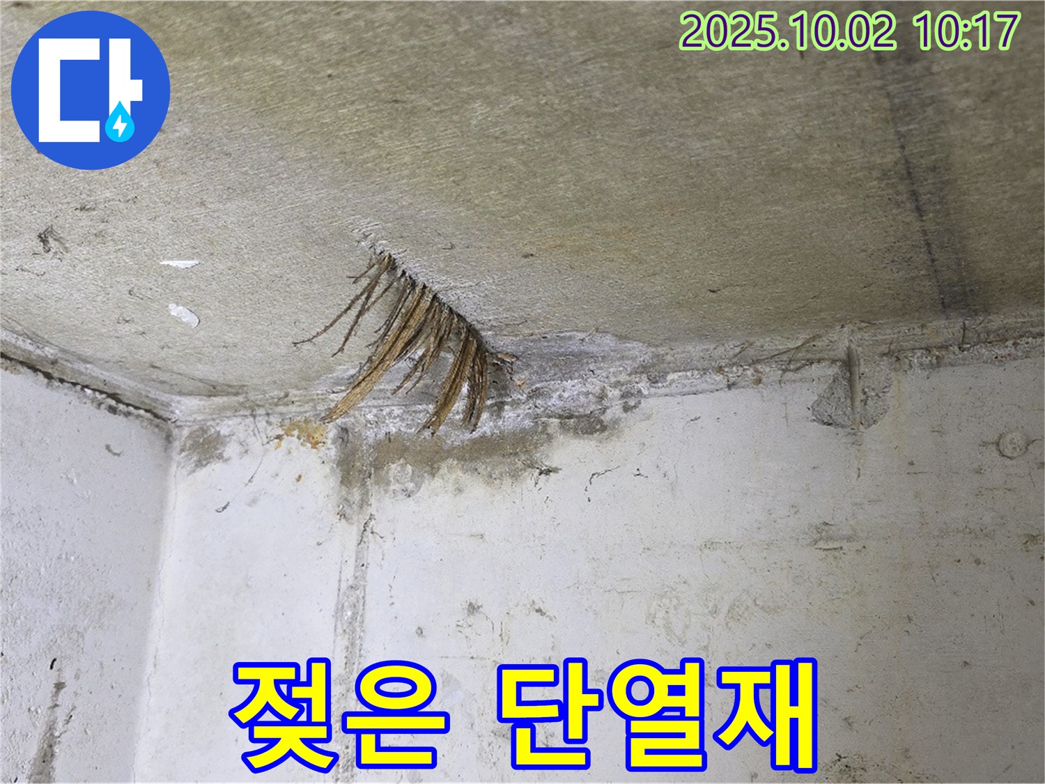 양주 신산리 누수 - 뜯겨진 천장 속 젖은 단열재 발견