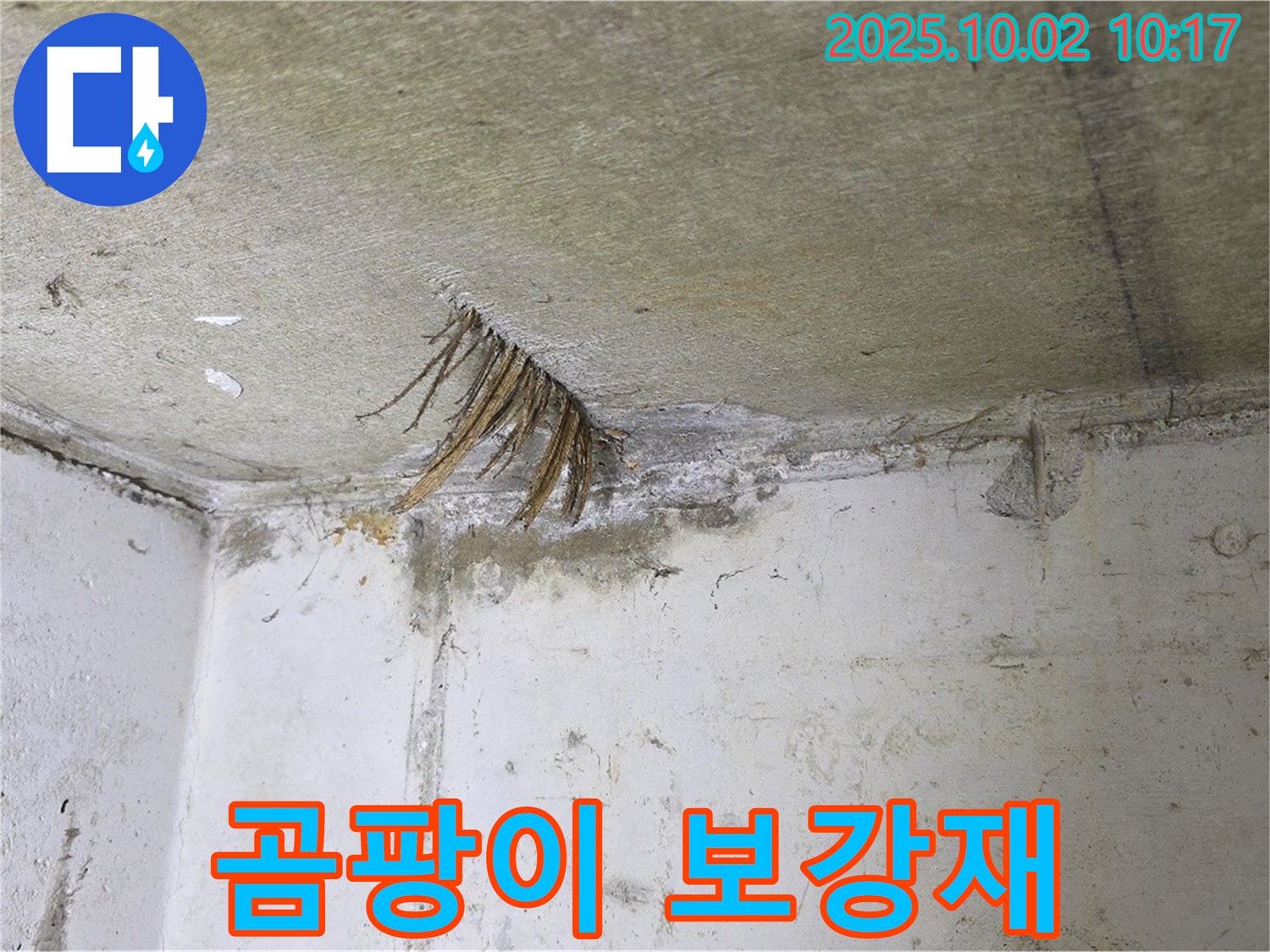 양주 신산리 콘크리트 천장 - 젖은 섬유 보강재, 곰팡이 발생