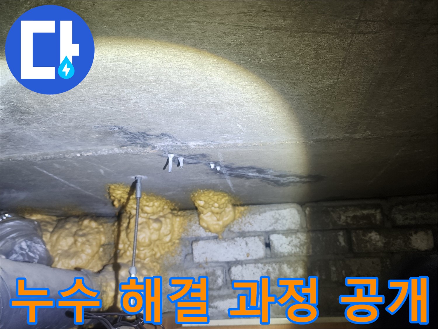 벽 누수 해결 과정 상세 공개