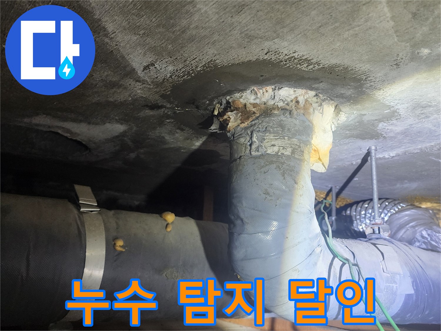 영등포구 당산동 누수 탐지 전문 장비 사용
