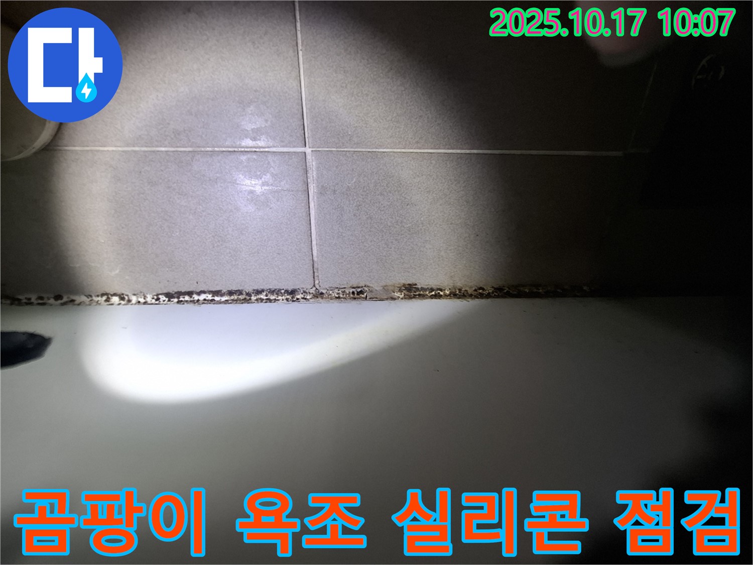곰팡이 핀 욕조 - 실리콘 손상으로 인한 누수 가능성을 점검하세요.