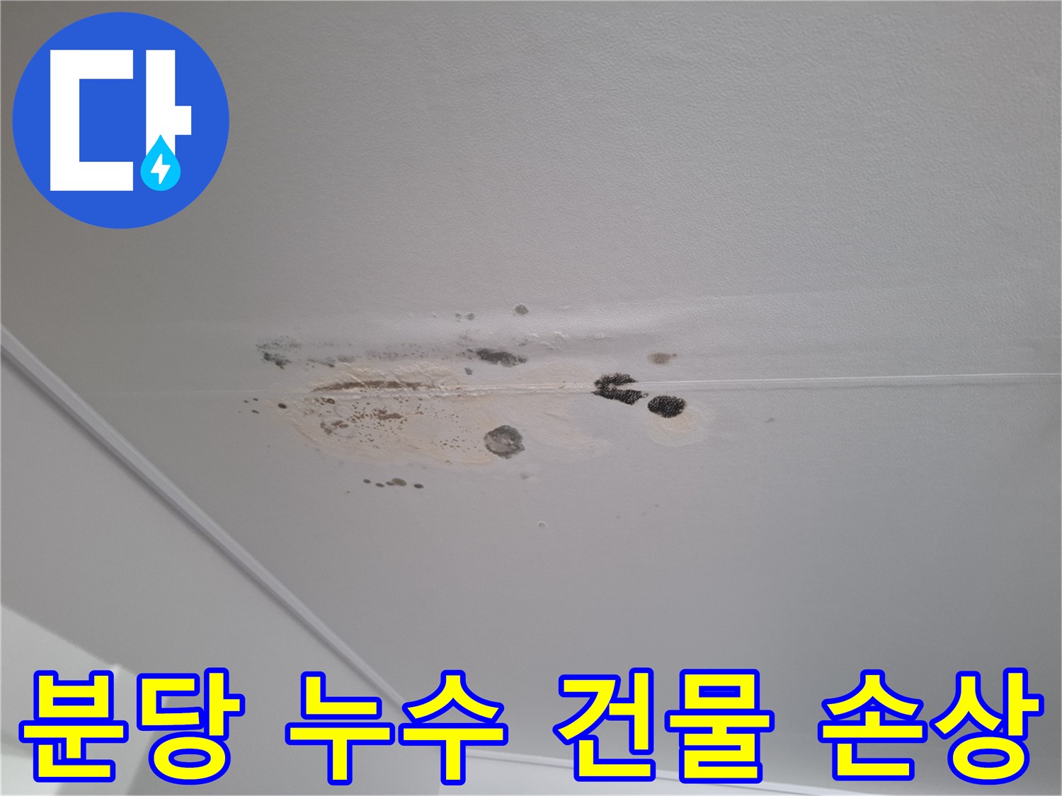 누수 - 건물 내부 손상, 안전 점검 필수
