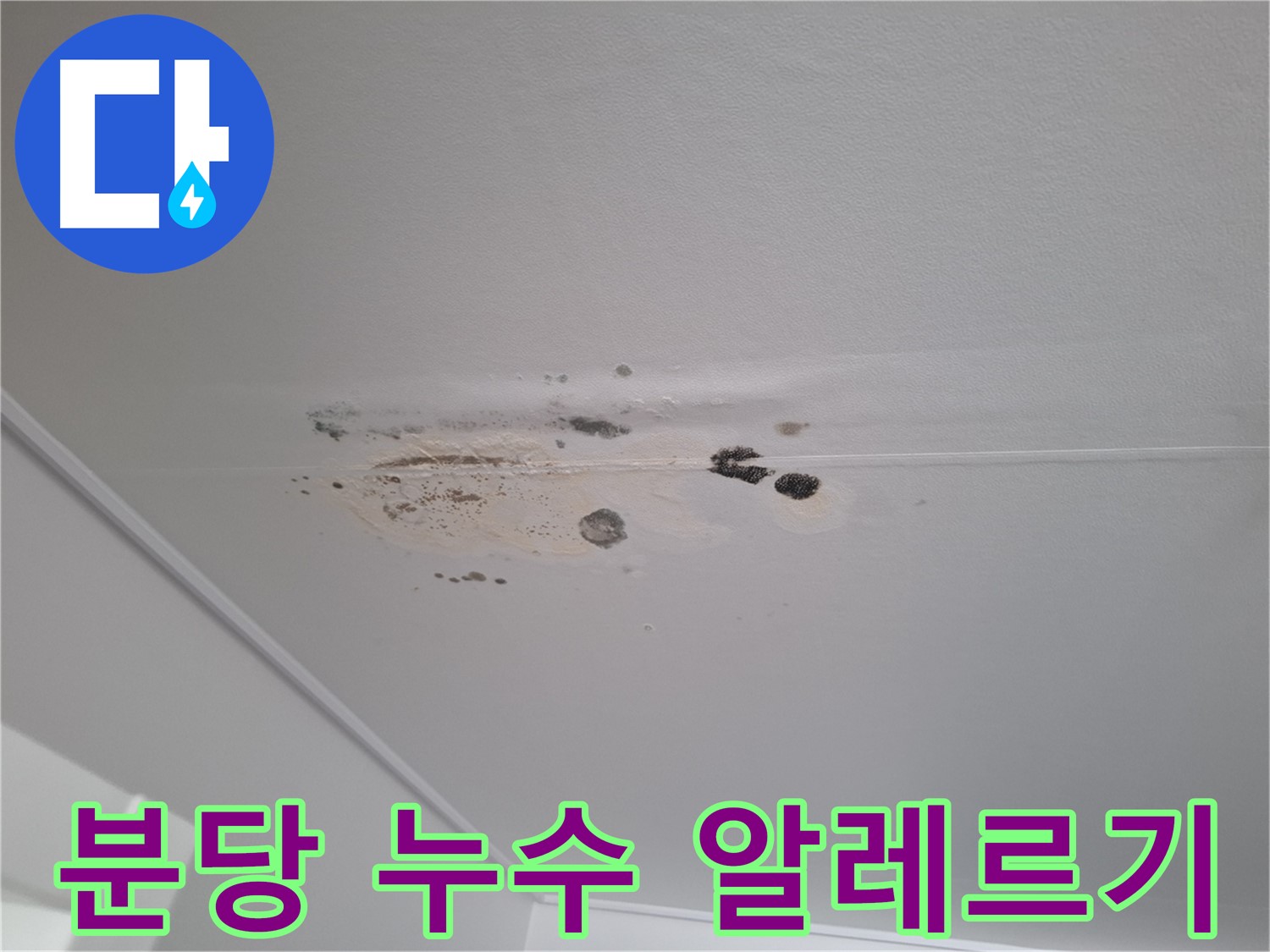 누수 - 곰팡이 알레르기 유발, 건강 위협!