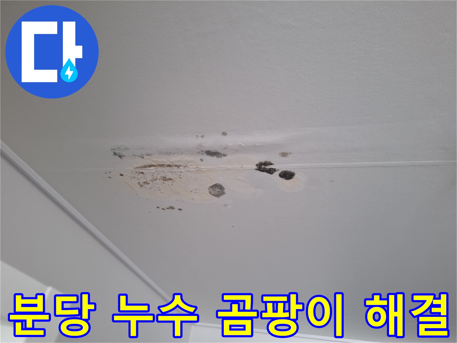 누수 곰팡이 해결 - 쾌적한 공간으로 변신시켜 드립니다