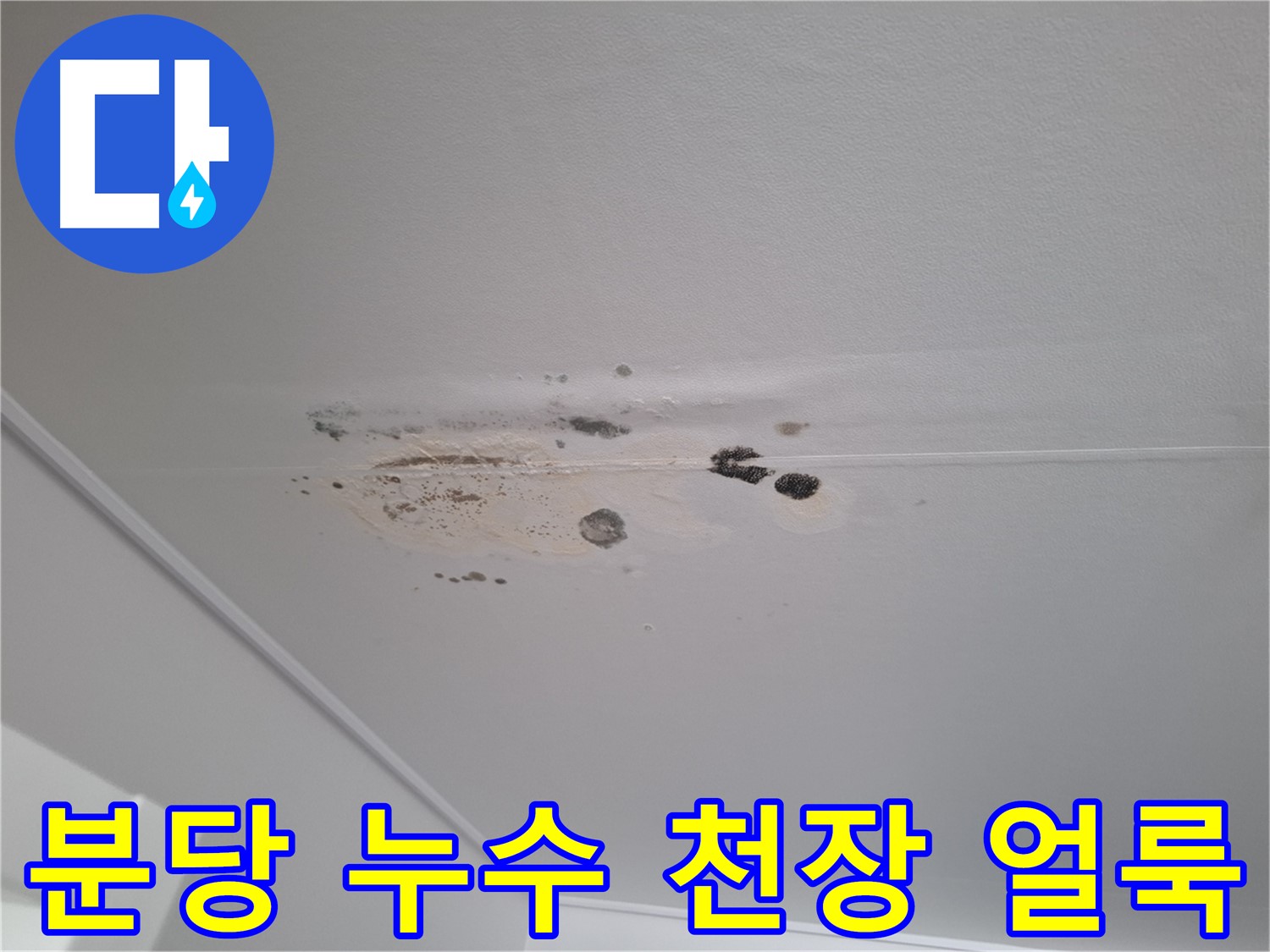 누수 - 천장 얼룩 심화, 빠른 점검 필수!