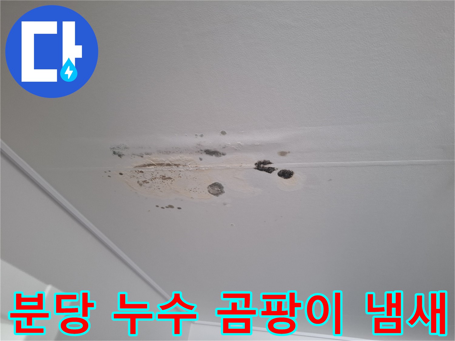 누수 해결 - 곰팡이 냄새 제거, 쾌적하게