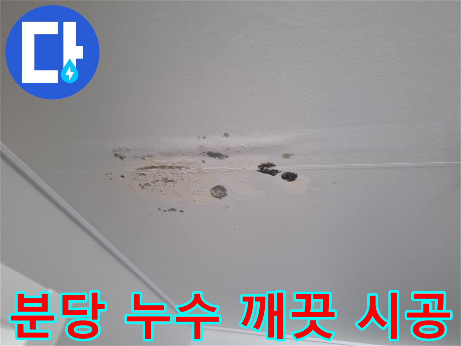누수 해결 - 깨끗한 시공, 높은 고객 만족