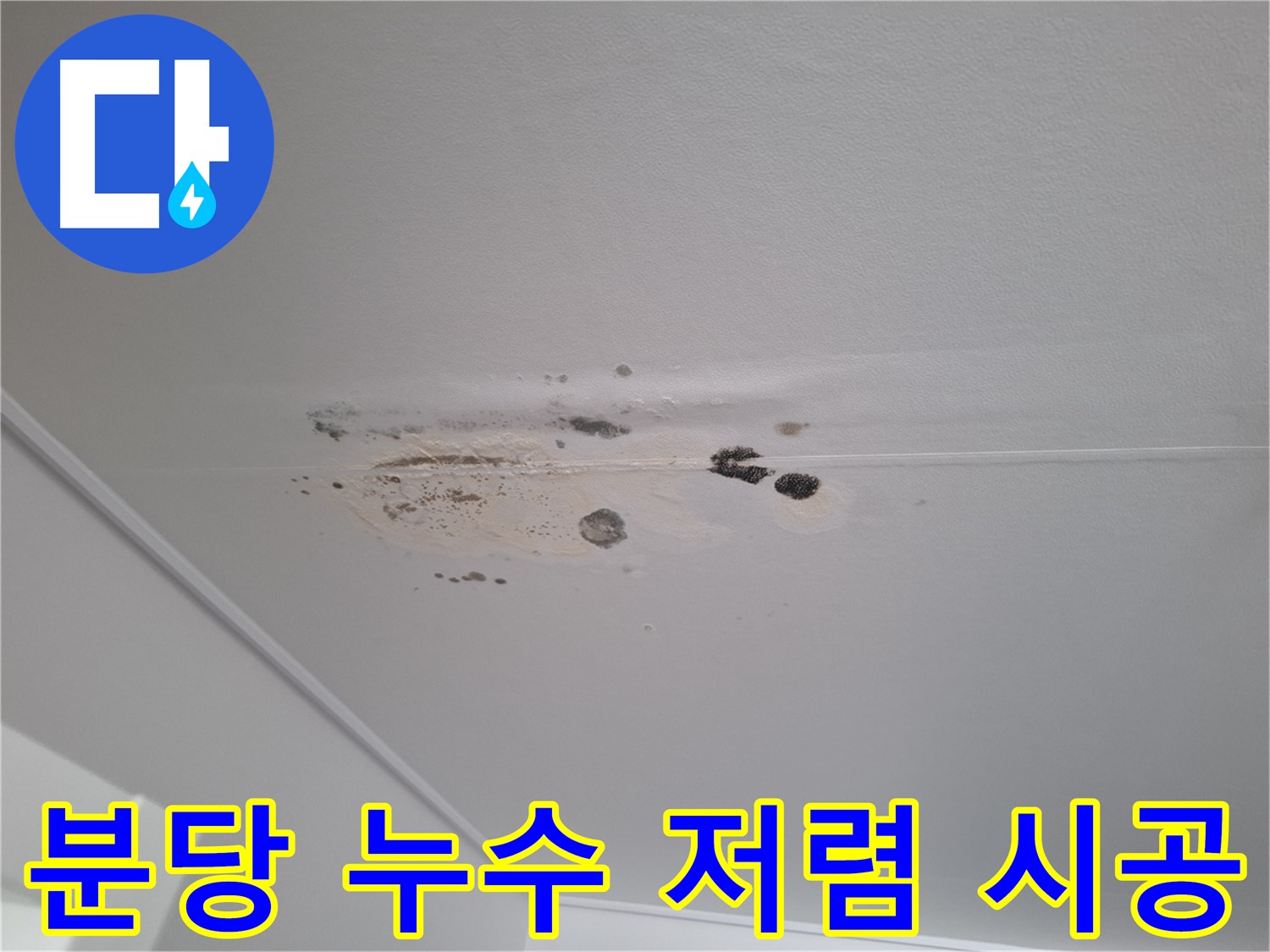 누수 해결 - 완벽 시공, 저렴한 비용으로 해결