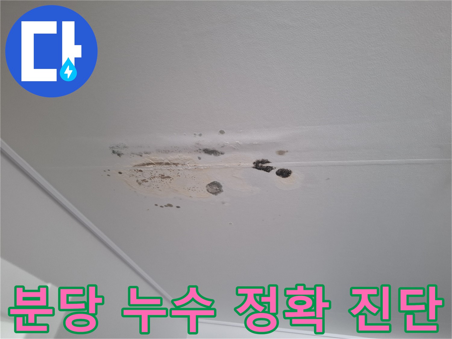 누수 해결 - 친절한 상담, 정확한 진단 제공