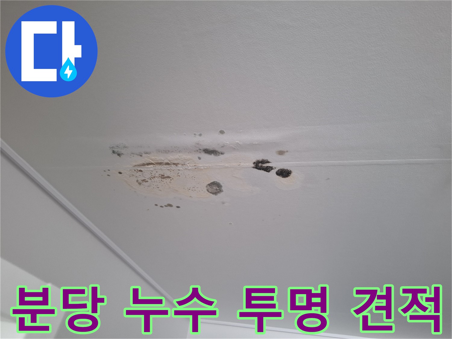 누수 해결 - 친절한 상담, 투명한 견적 제공