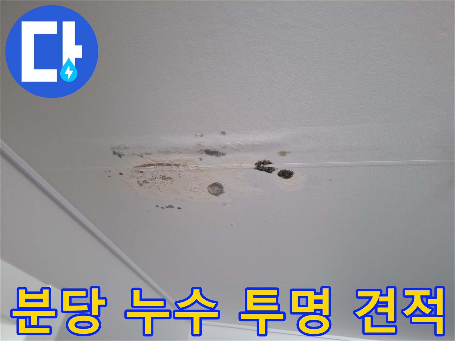 누수 해결 - 친절한 상담, 투명한 견적 제공