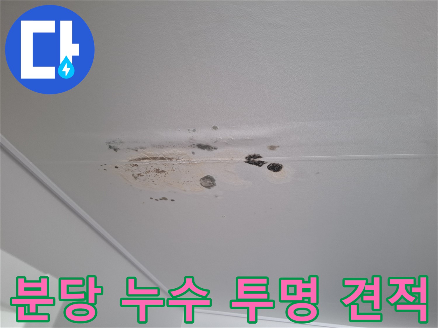 누수 해결 - 친절한 상담, 투명한 견적 제공