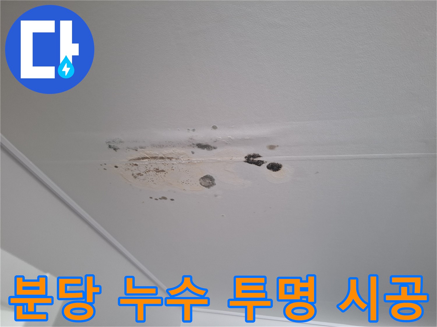 누수 해결 - 합리적 견적, 투명한 시공 약속