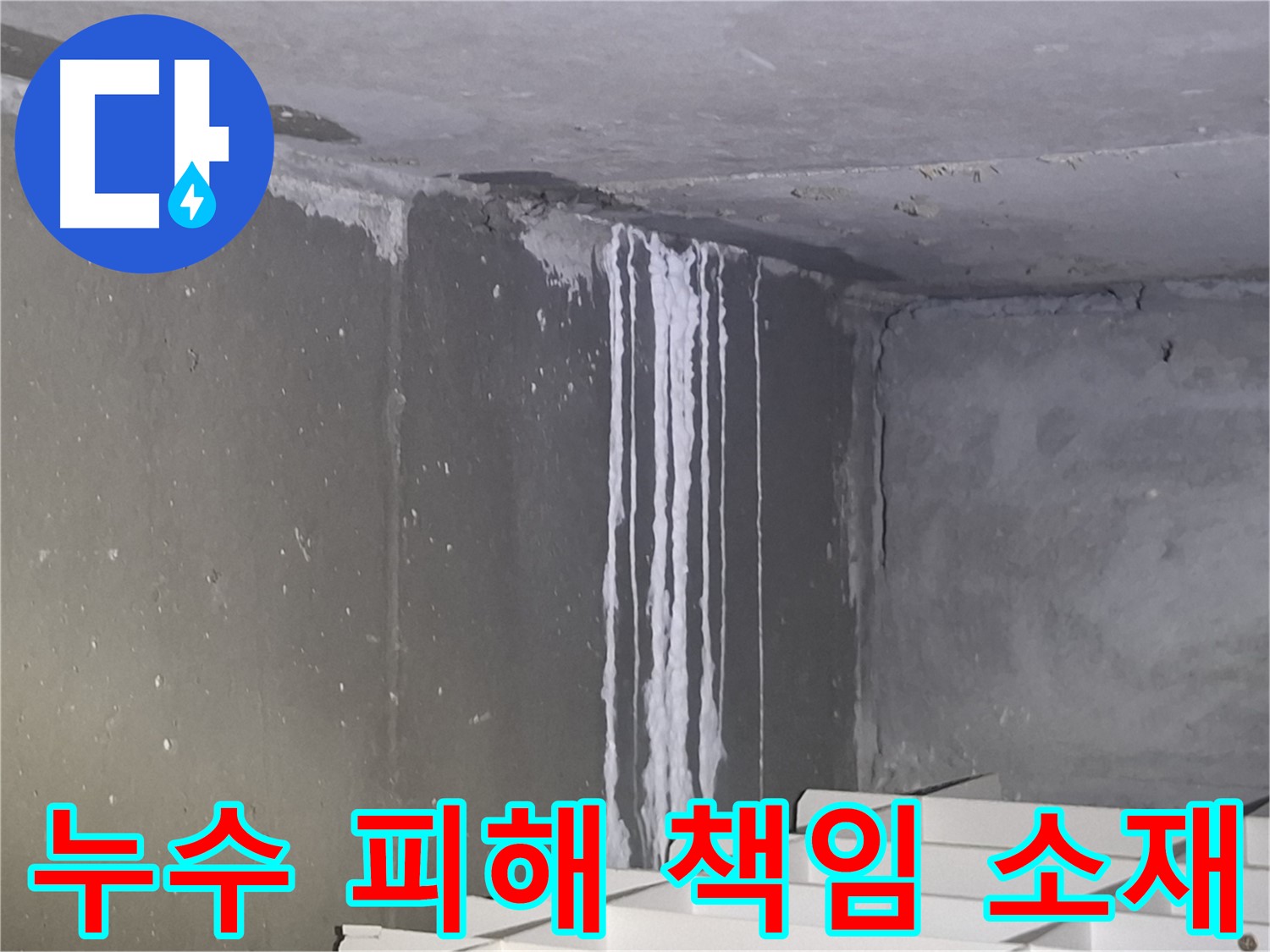 봇들마을 건물 계단 벽 누수 - 책임 소재는 누구에게?