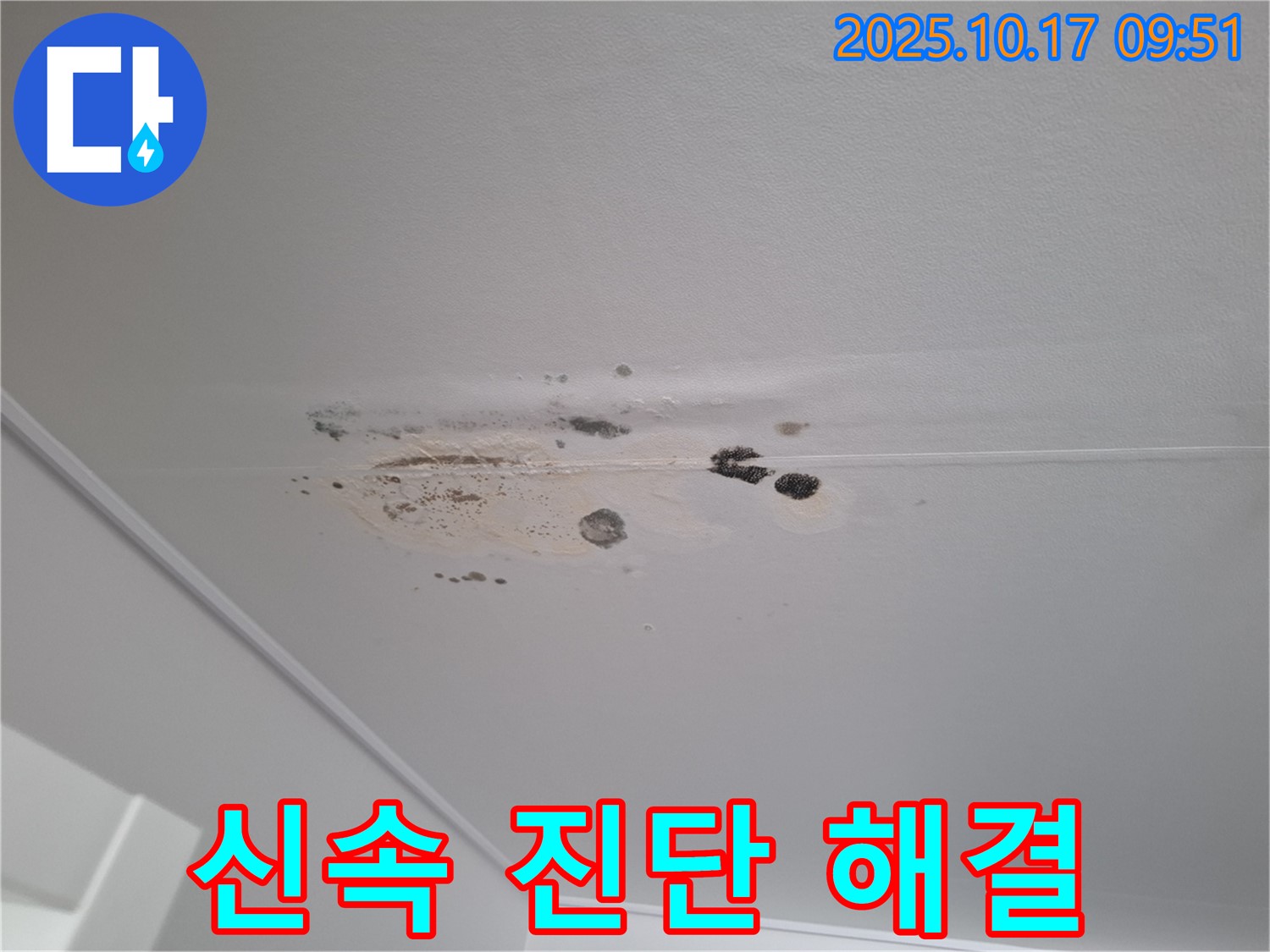 분당 누수 - 곰팡이 얼룩 심한 천장 - 신속한 진단과 맞춤 해결책을 제공합니다