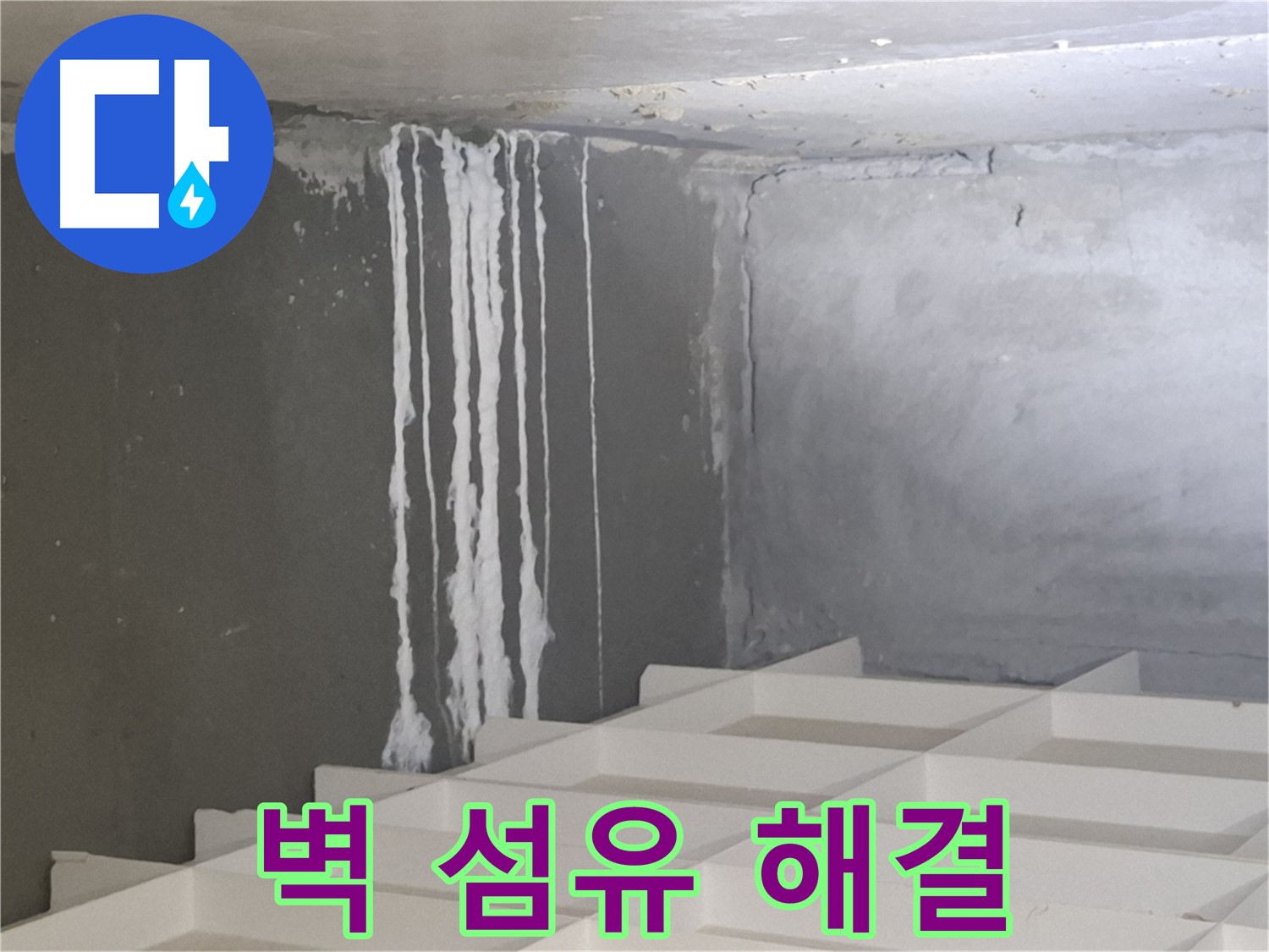 분당 누수 - 삼평동 아파트 벽에 맺힌 하얀 섬유 문제, 진단부터 시공까지 원스톱 솔루션 제공